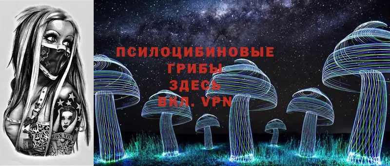 Галлюциногенные грибы MAGIC MUSHROOMS  купить   Каменка 